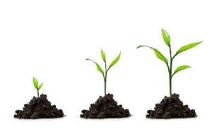 Growing your professional services firm