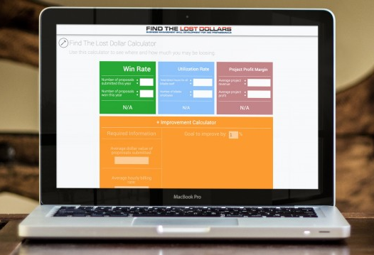 Screen Shot Find the Lost Dollars Online Learning Platform Training for Business Managers and Project Managers 