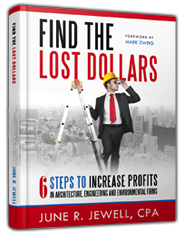 Cover for Book Review of Find the Lost Dollars 